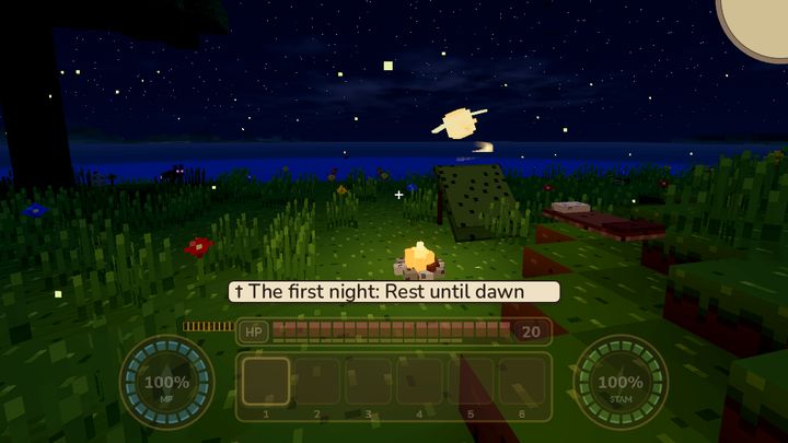 A campfire at night